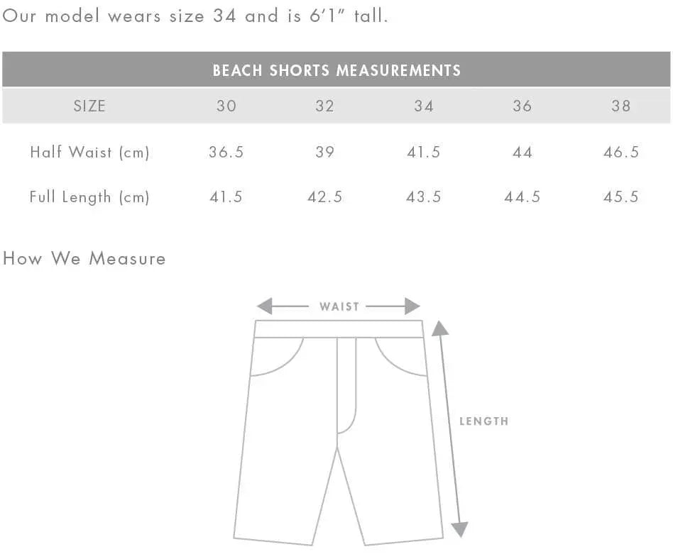 As Colour Men's beach shorts 5903 Active Wear As Colour